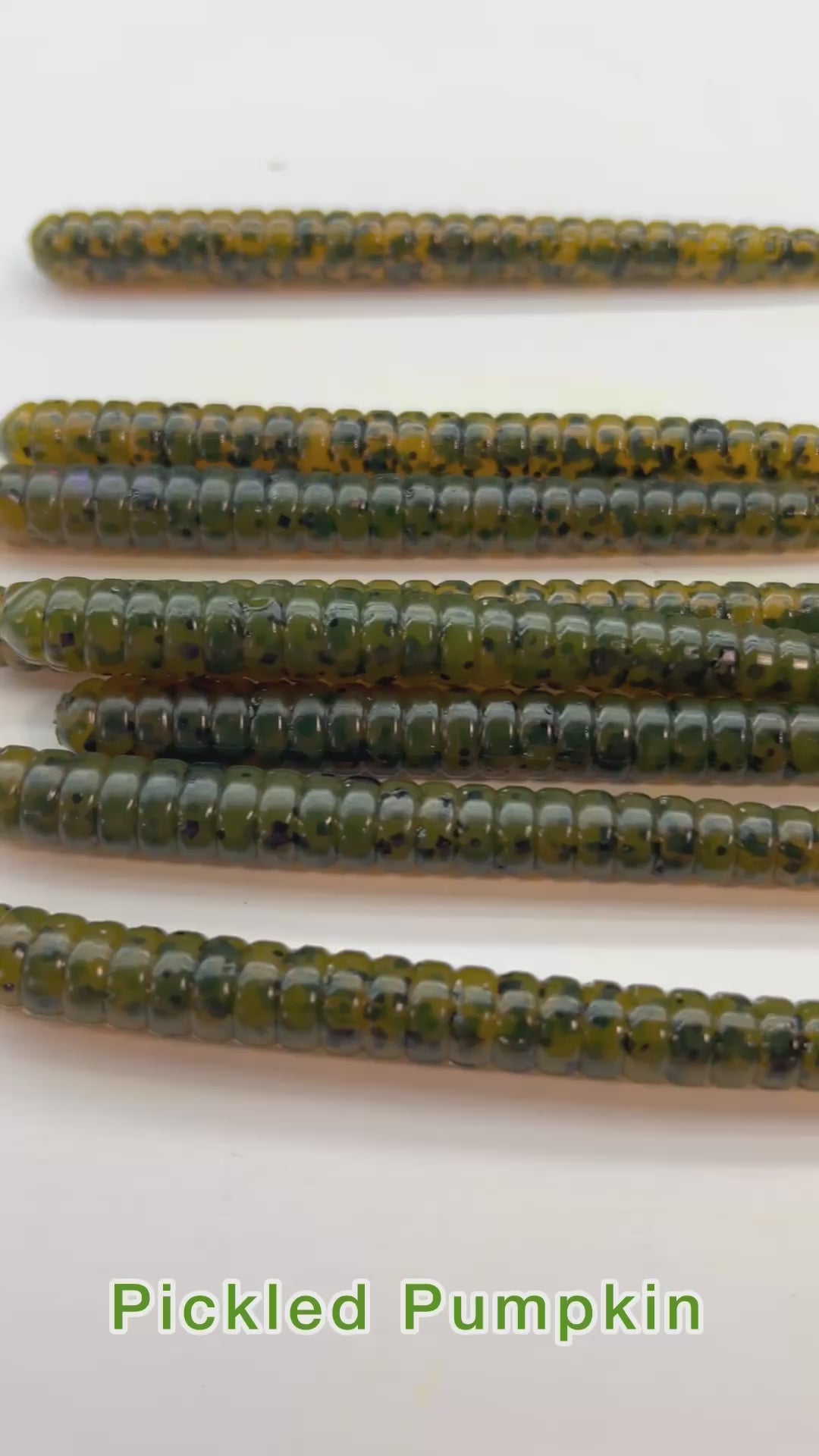 Gutter Worm (Pickled Pumpkin) 8pk