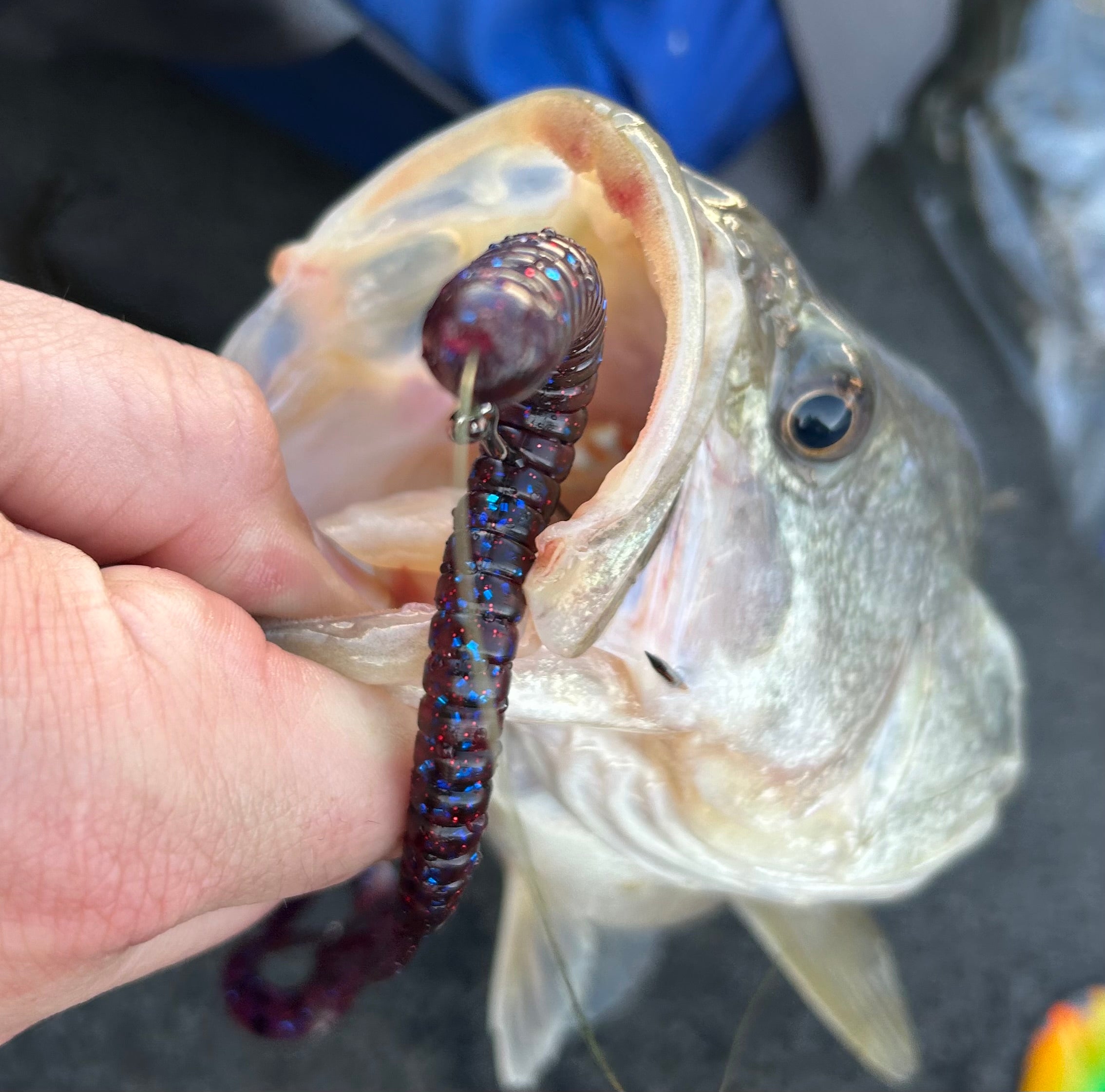 Gutter Worm 8pk (Blemished Label)