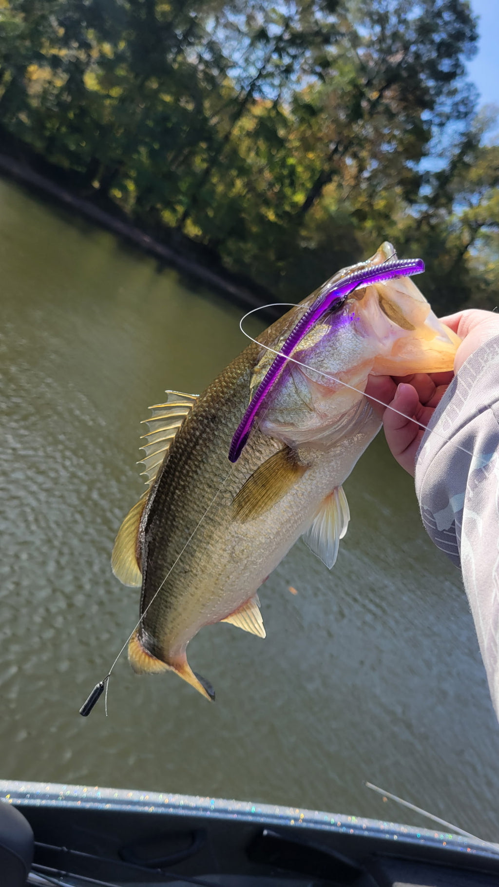Finesse Trick Stick 10pk