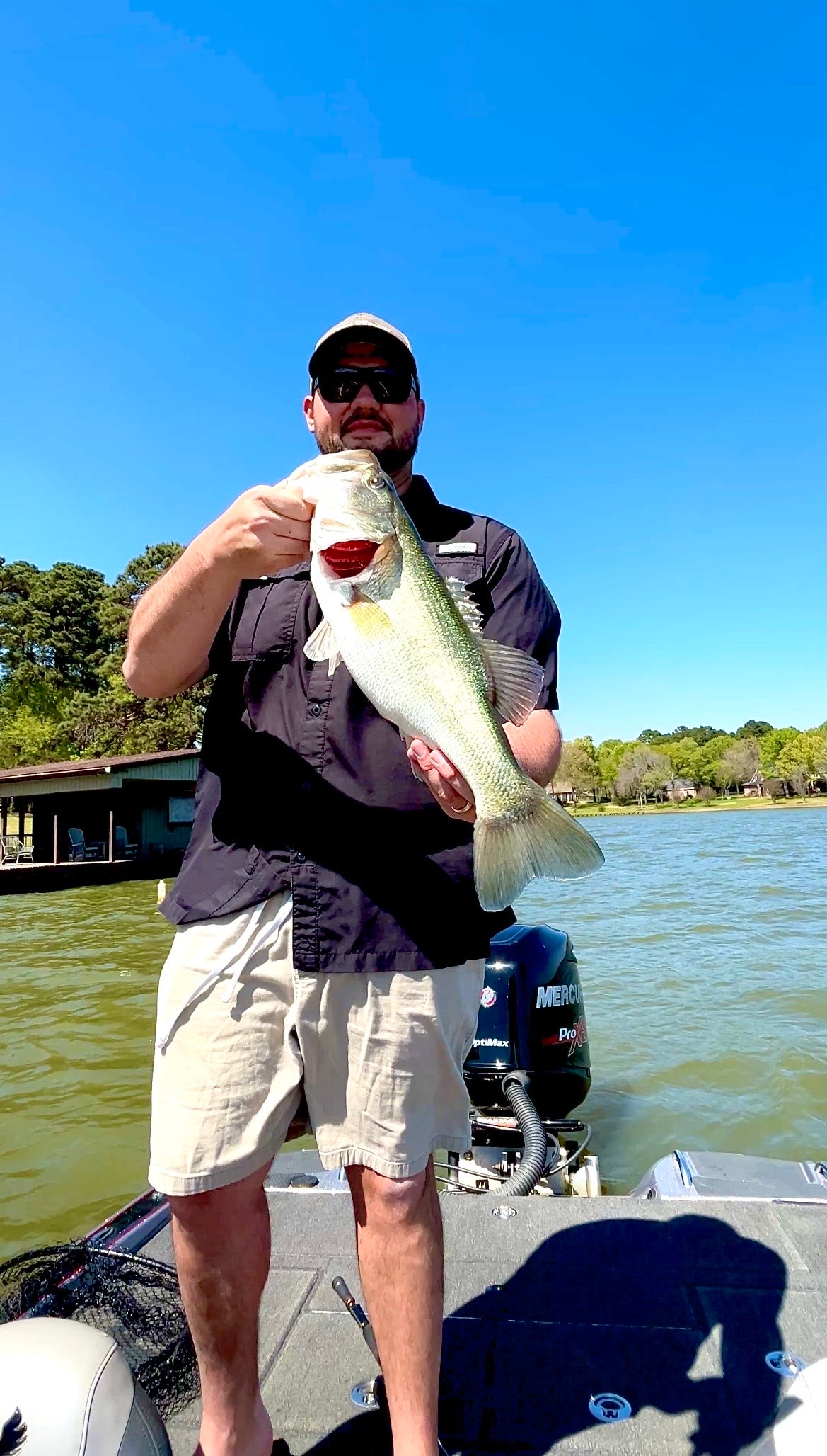 Finesse Trick Stick 10pk