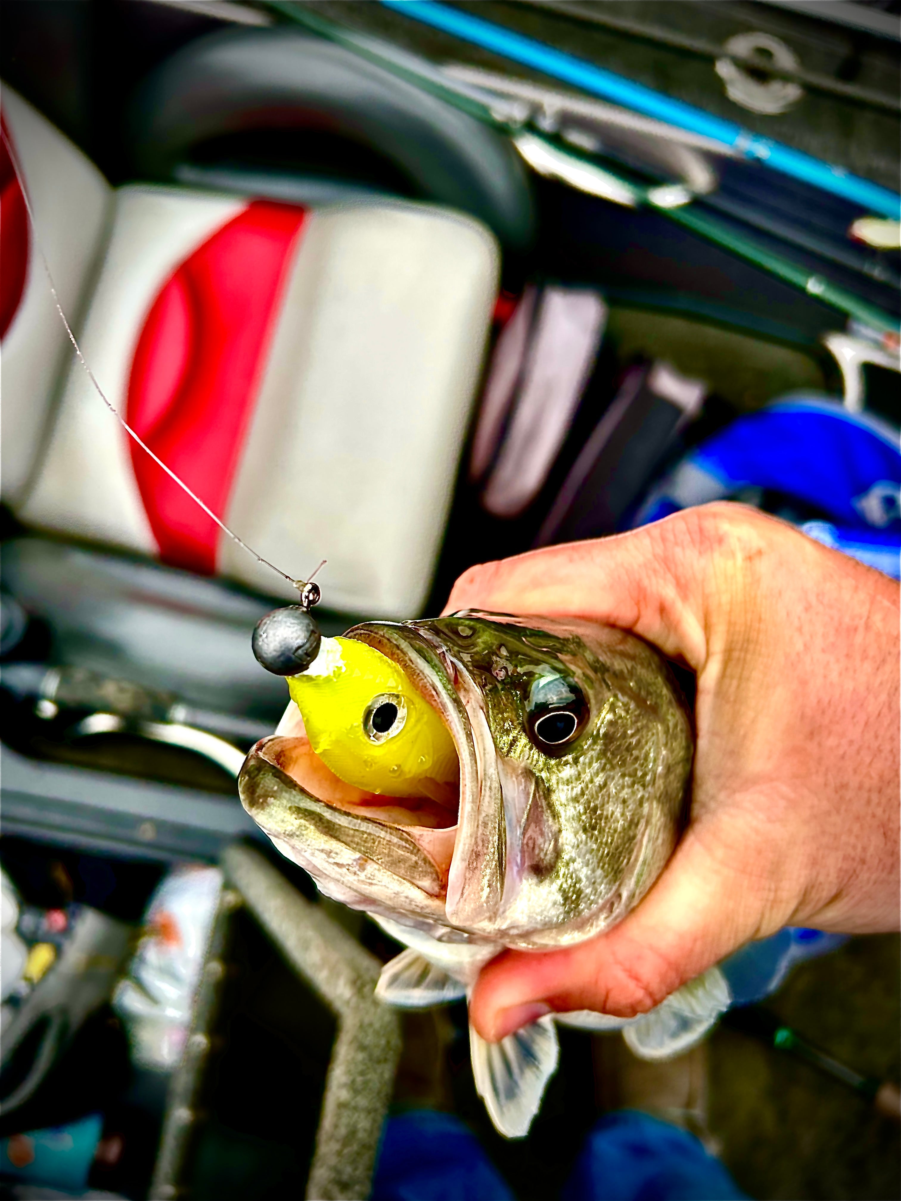 Deputy 4” (Custom Bone) 3pk