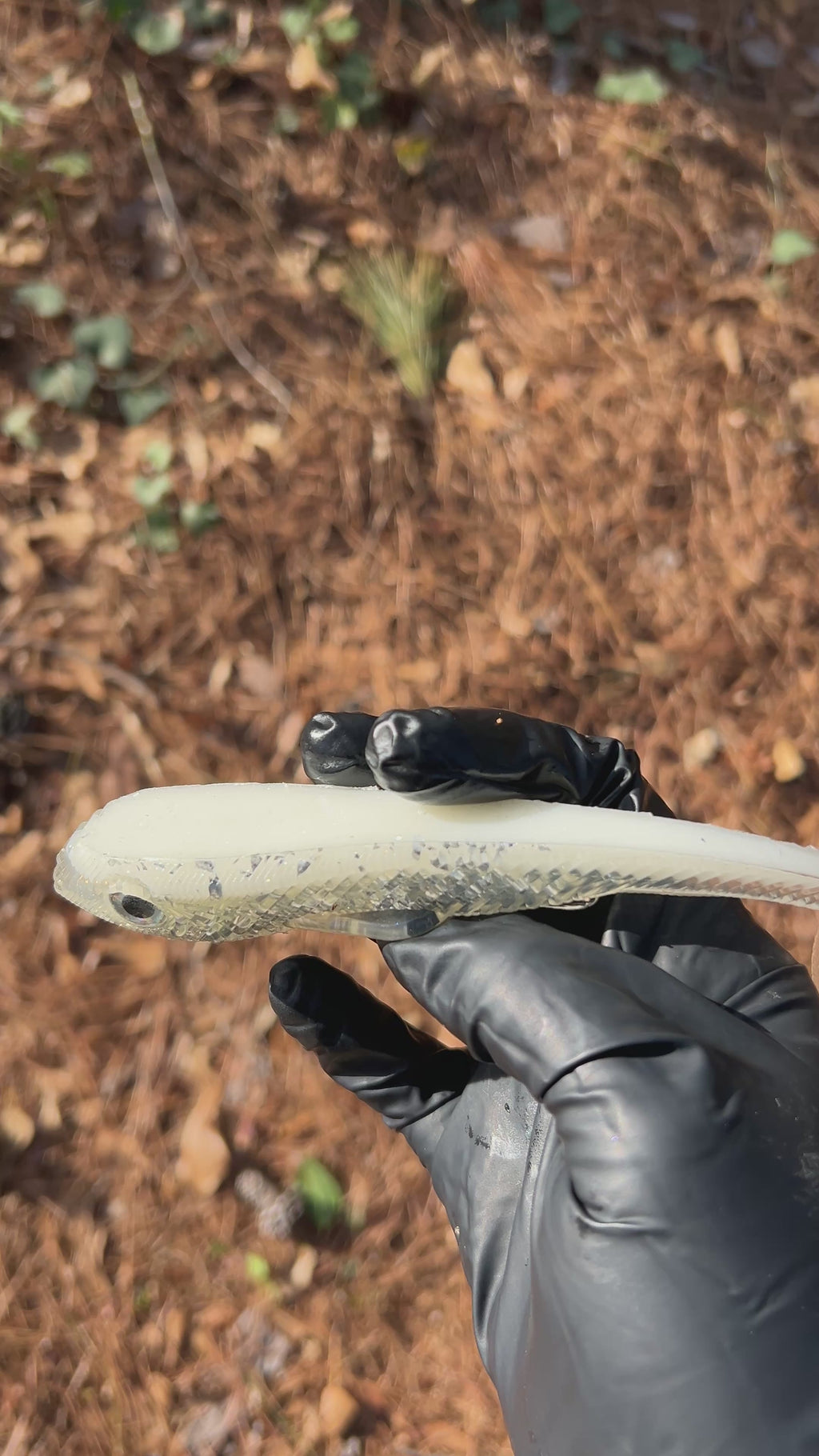 Warden 7” Weedless/Freestyle 2pk