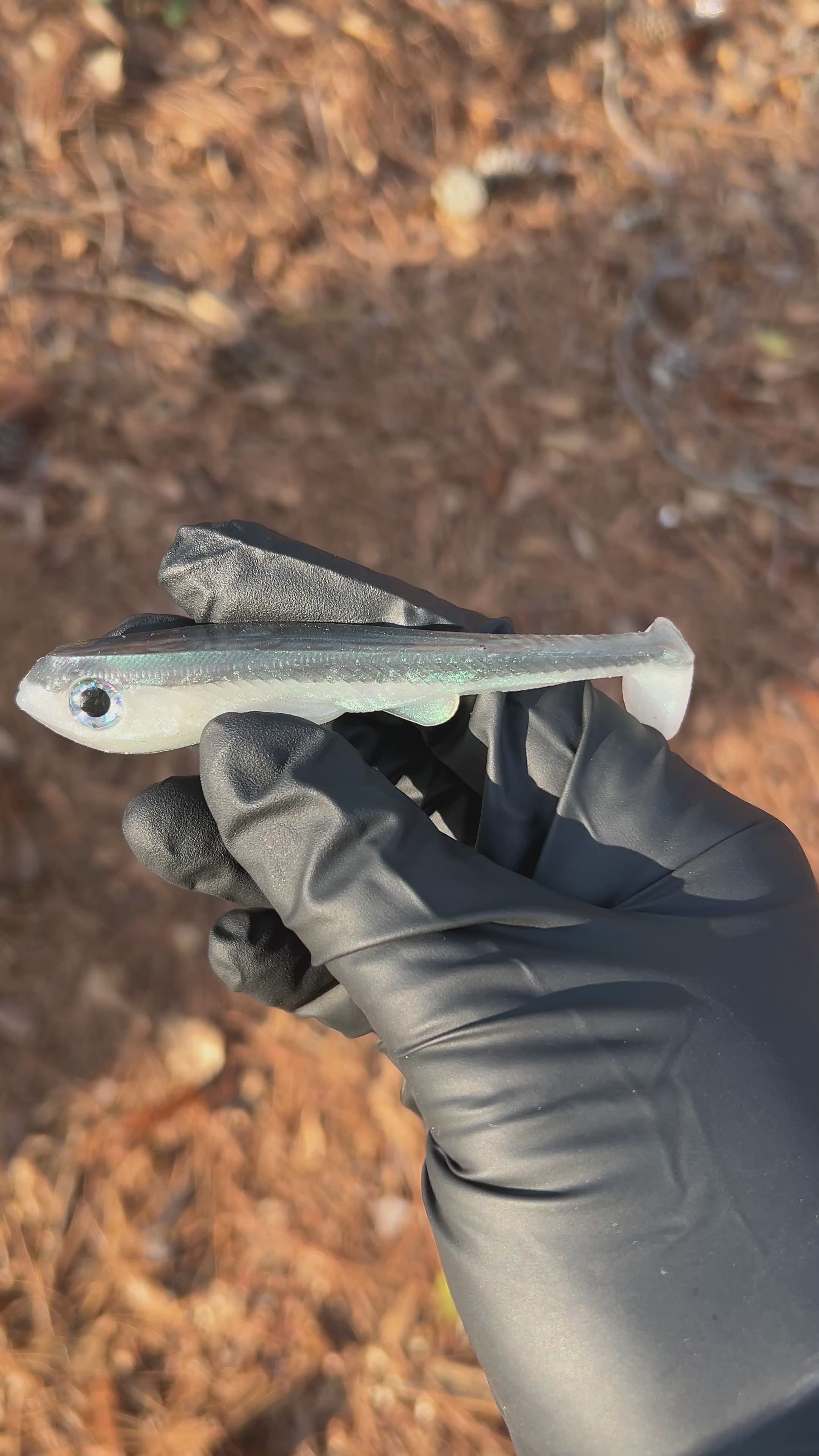 Deputy 4” Weedless/Frestyle 3pk