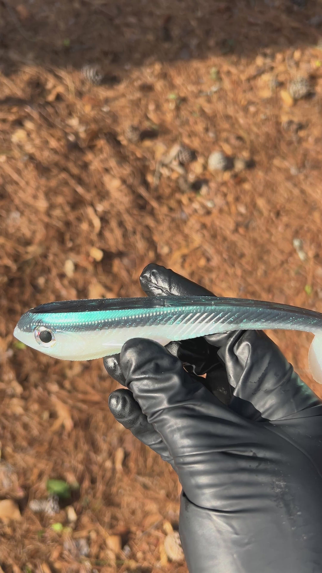 Warden 7” Weedless/Freestyle 2pk