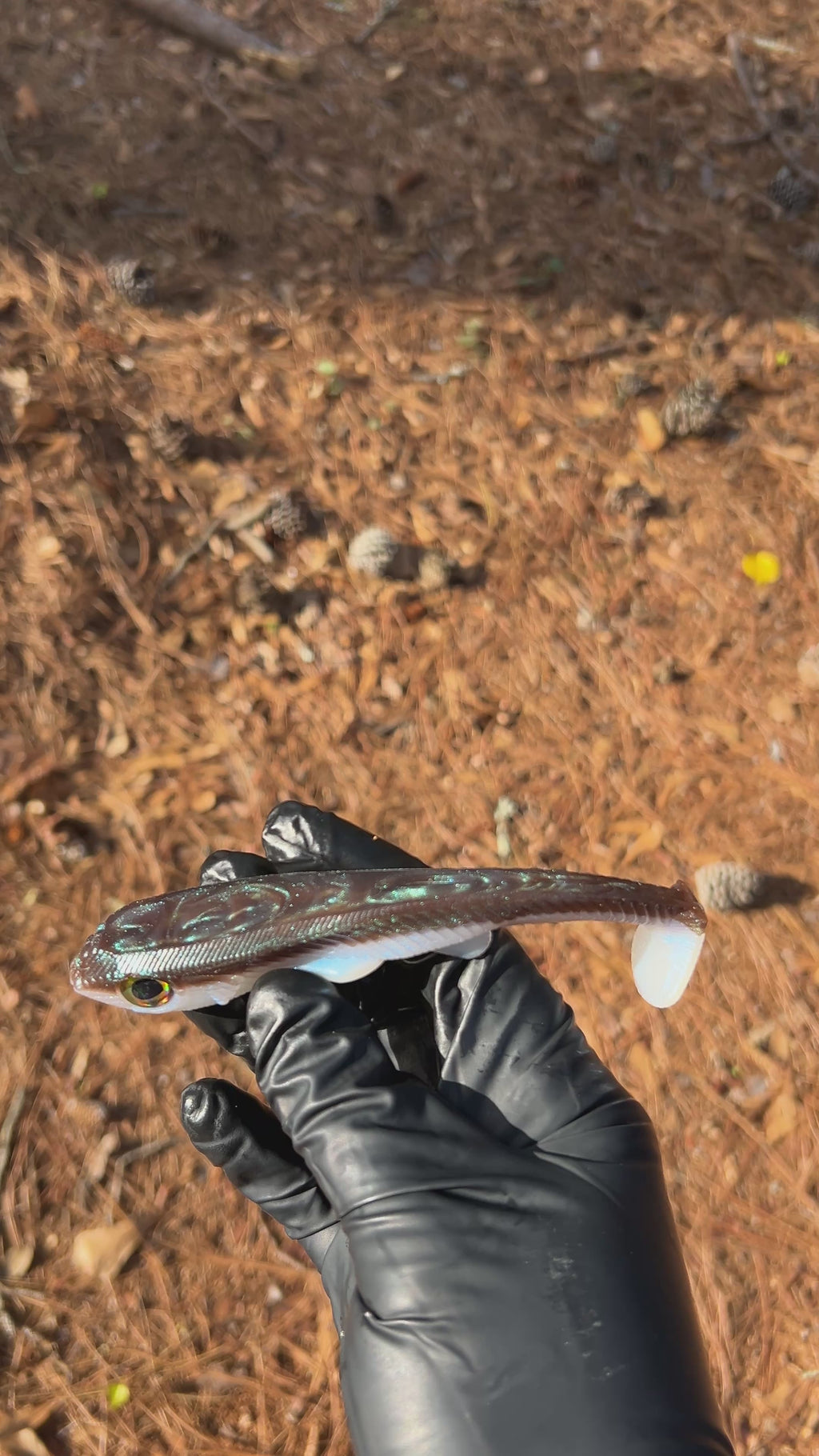 Sheriff 6” Weedless/Freestyle 2pk