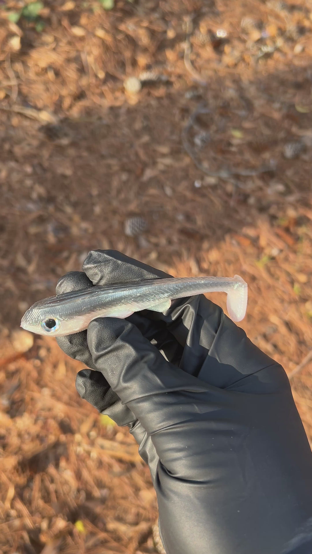 Deputy 4” Weedless/Frestyle 3pk