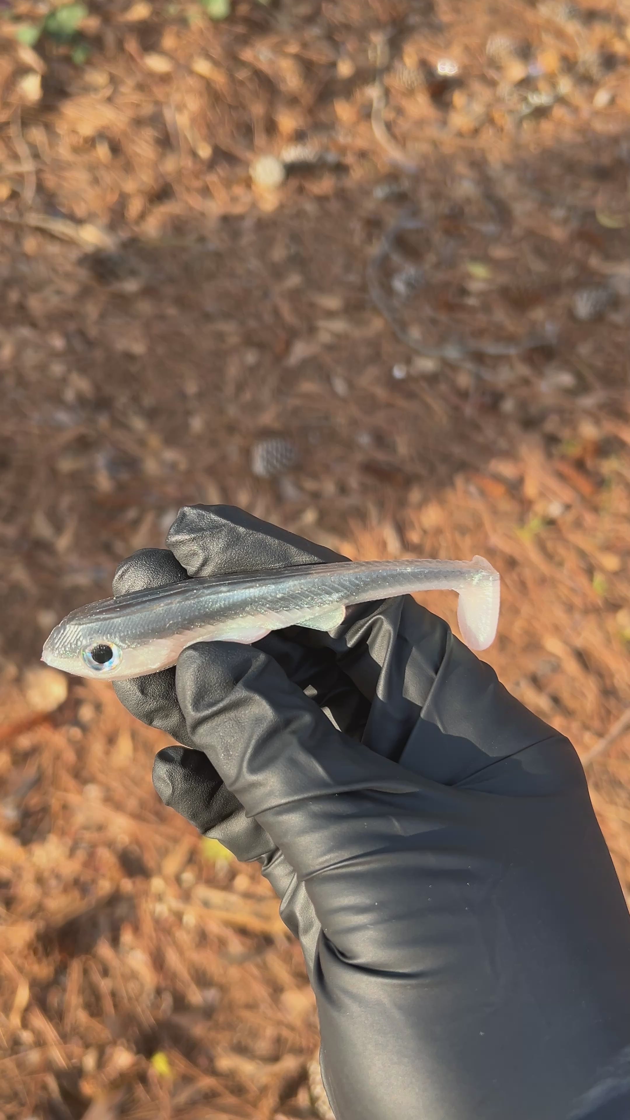 Deputy 4” Weedless/Frestyle 3pk