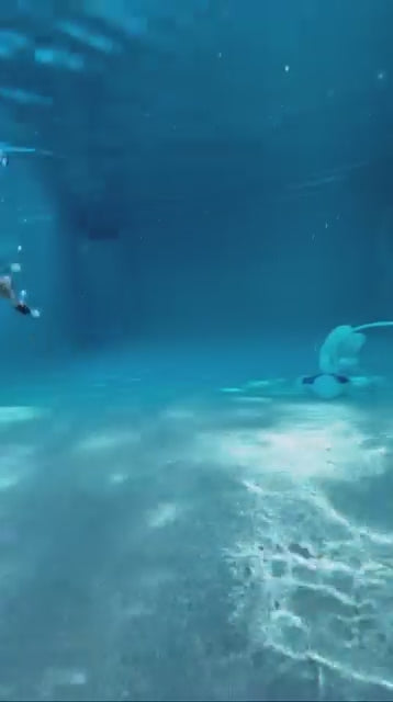 Ditch Bug (Blueberry) 8pk