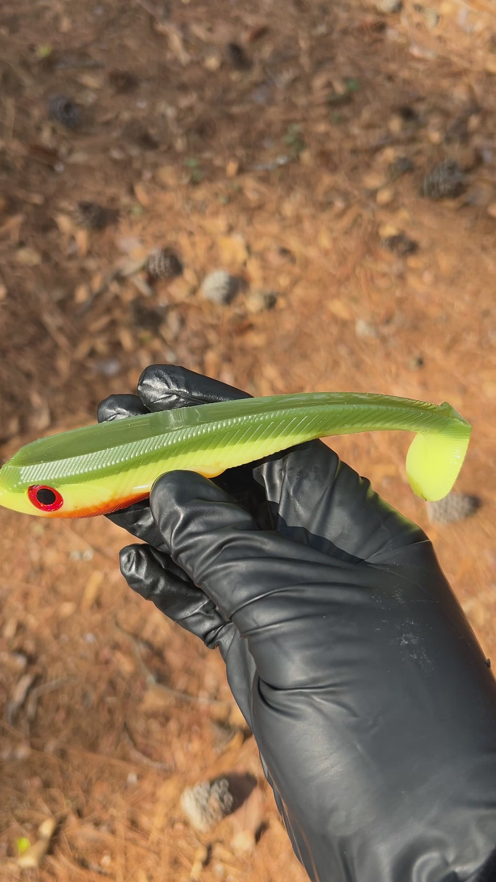Warden 7” Weedless/Freestyle 2pk