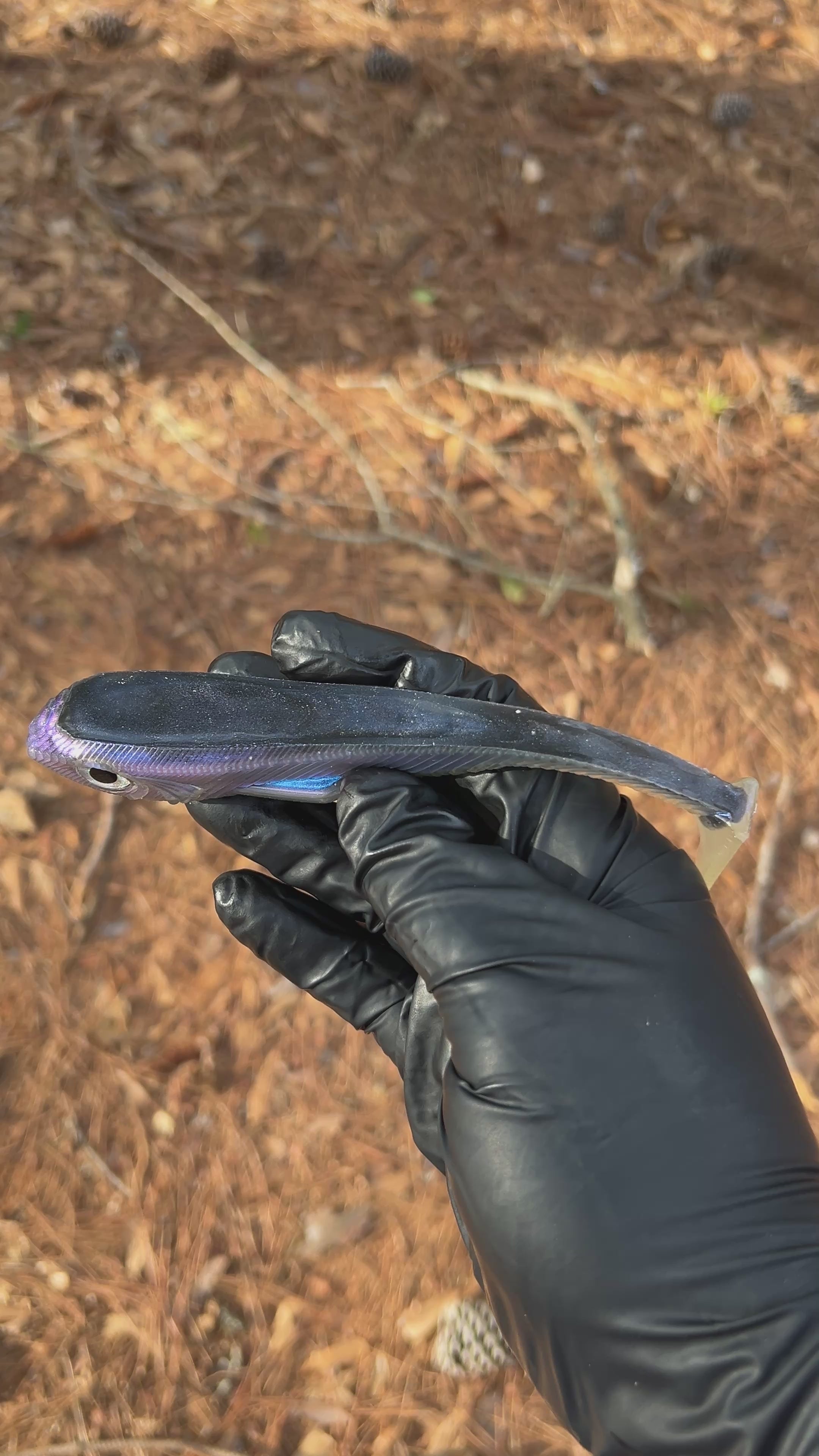 Warden 7” Weedless/Freestyle 2pk