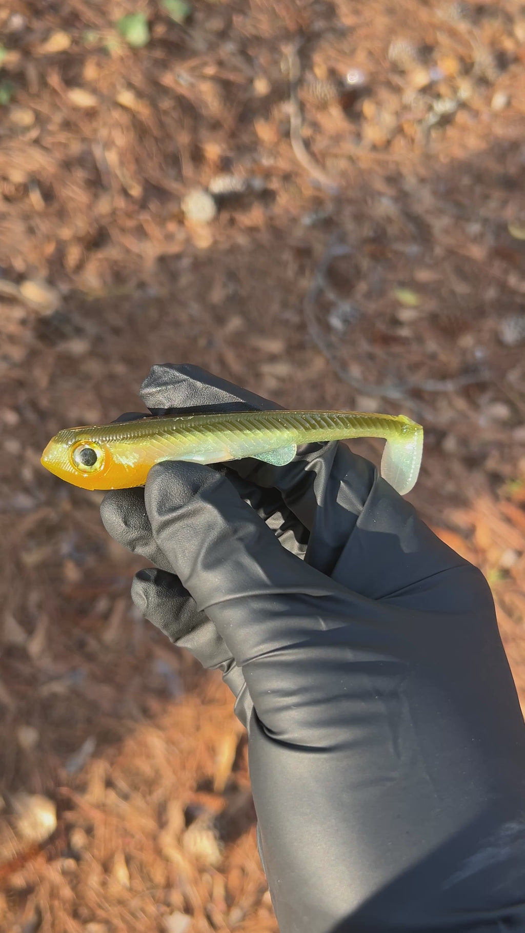 Deputy 4” Weedless/Frestyle 3pk