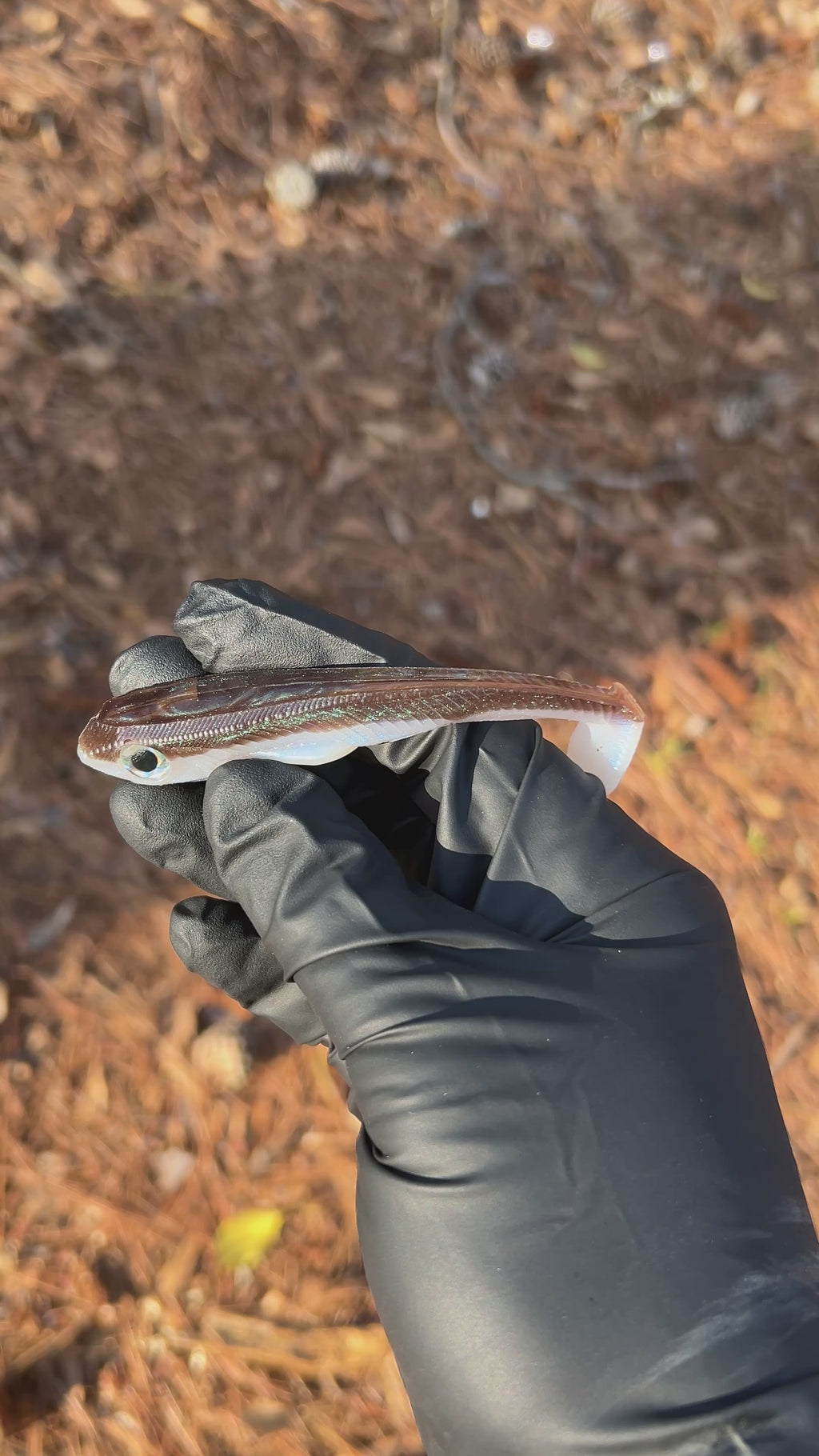 Deputy 4” (Custom Shad2) 3pk