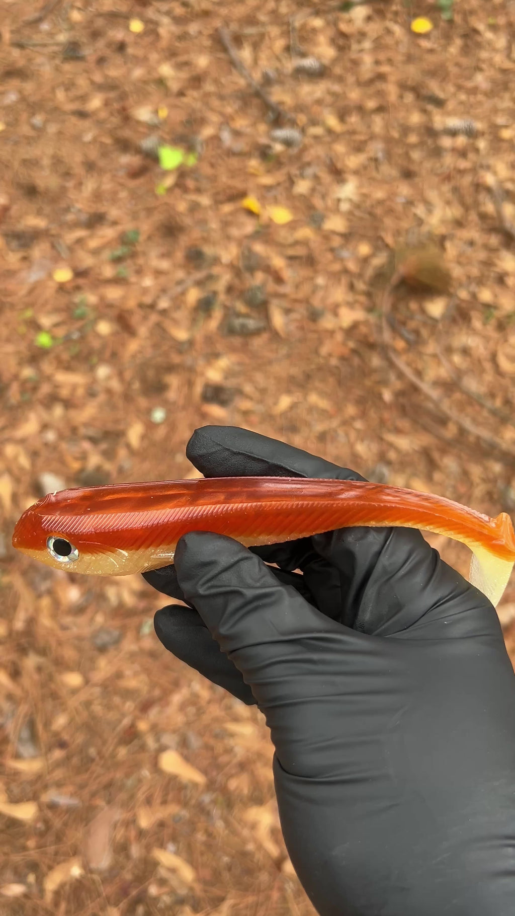 Warden 7” Weedless/Freestyle 2pk